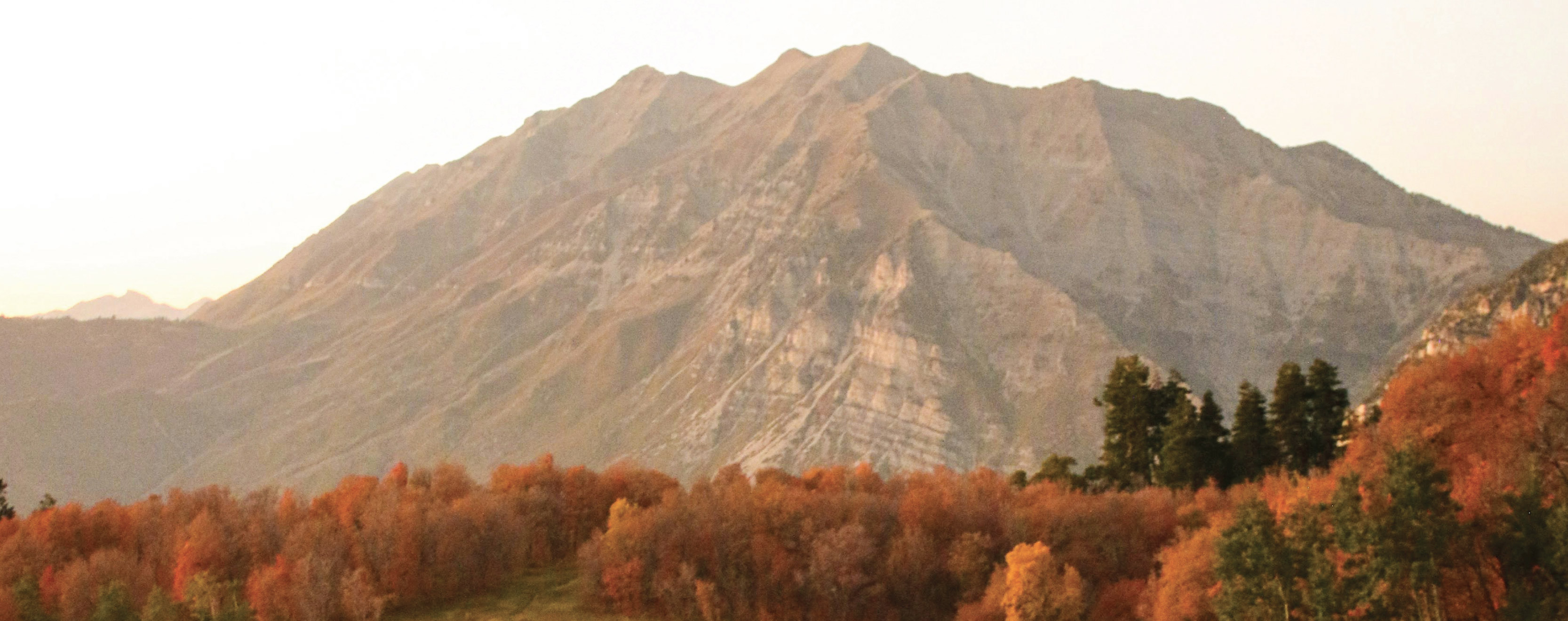 utah-banner