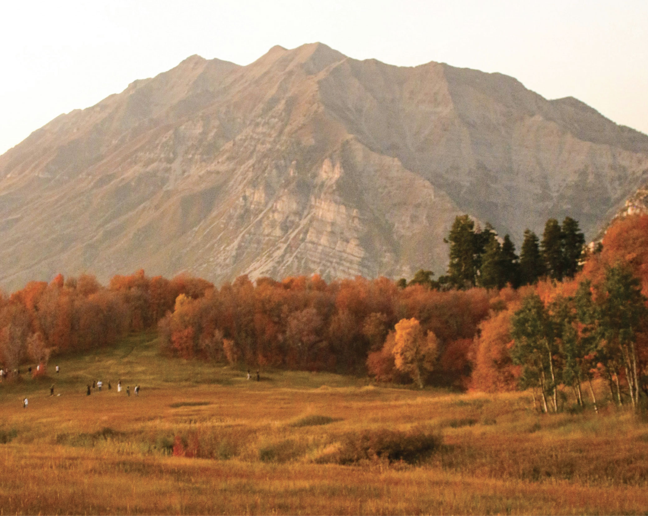 utah-banner